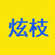炫枝汽车电子店铺