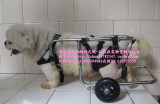 狗轮椅/瘫痪宠物轮椅/宠物代步车/小狗助行车/动物残疾车/LLG-02