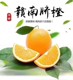 d[s137723112]店铺