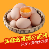 橘园散养新鲜土鸡蛋草鸡蛋柴鸡蛋笨鸡蛋40枚 买就送蛋清分离器