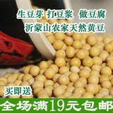 山东农家自种有机小黄豆 可发豆芽 新货可打豆浆250g满包邮