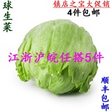 【吉轩蔬果苑】新鲜球生菜600克 有机西生菜 圆生菜沙拉色拉蔬菜