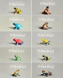 正品散货 日本仿真动物模型-青蛙10款套装 迷你超精致-食玩场景