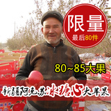 【阿克苏】新疆新鲜水果 脆香甜苹果 阿克苏红旗坡冰糖心苹果10斤