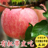 山东特产烟台苹果水果新鲜栖霞红富士比阿克苏冰糖心儿童5斤包邮