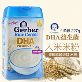 现货 美国进口GERBER嘉宝DHA米粉1段一段米糊大米益生菌227g
