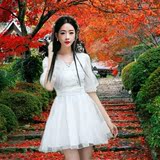 2016夏装新款甜美公主伴娘仙女蓬蓬裙白色网纱V领灯笼袖连衣裙夏