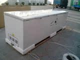 全新伊莱克斯BD/BC-1380升 商用卧式冰柜 冷冻冷藏 大容量冷柜