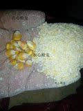 现磨玉米糁 碎玉米 粉面鸡鸭虫鸟宠物家禽新鲜动物饲料5斤装包邮