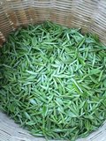 2016年新茶春茶250g贵州有机绿茶叶雀舌湄潭翠芽独芽嫩芽特级龙井