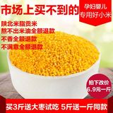 黄小米2015新米粥农家自产有机小黄米香脂贡米月子米宝宝辅食500g