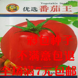 阳台盆栽水果蔬菜种子菜籽秋季种 大番茄西红柿种子春季蔬菜种子