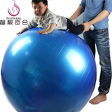 哈宇正品宝宝感统训练大龙球球加大100cm防爆加厚健身球环保无味