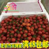 现货海南千禧红圣女果原箱16斤装 水果樱桃小番茄西红柿水果蔬果