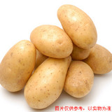 【广惠】 天津 蔬菜配送 新鲜蔬菜 土豆 同城送货 网上买菜