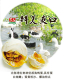 吉人牌广西北部湾红树林烤海鸭蛋熟即食咸蛋黄多油6个24包邮