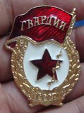 苏联近卫军胸章（证章）