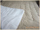 外贸余单  珊瑚绒加厚床垫 榻榻米地垫