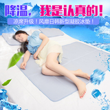 出口日本凝胶冰垫床垫夏季降温冰枕坐垫沙发汽车宠物学生宿舍凉垫