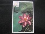1960年外文出版社《花卉个性化邮票-荷花》极限片