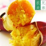 广东高州番薯特产 新鲜紫薯 红薯 地瓜 粉香薯 正宗鸡蛋王番薯