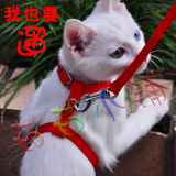 幼猫成猫牵引带猫咪胸背带牵引绳可调节逗猫遛猫必备猫带子猫用品