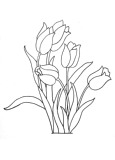 工笔画白描底稿线描手绘 布贴画图纸花卉花鸟山水人物-99小郁金香