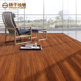 【扬子地板】自发热复合木地板 龙凤檀地暖木地板 D5745