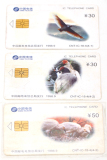 CNT-IC-18中国磁卡电话IC卡收藏品