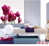 特价定做窗帘客厅卧室餐厅阳台高档简约大气欧式花朵彩绘拉式卷帘