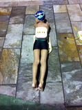 成人游泳课  北京  女教练私教课  单次价钱 一次一结