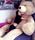 2米美国大熊公仔泰迪熊猫大号1.6抱抱熊生日礼物大狗熊娃娃女生
