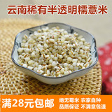 新货透明糯薏仁米薏米仁五谷杂粮粗粮250g 营养比普通薏米高3倍