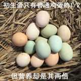 正宗农家散养土鸡蛋初生蛋笨鸡蛋柴鸡蛋新鲜鸡蛋绿壳蛋40个包邮