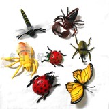 仿真/昆虫爬行动物玩具/独角仙/蝎子/蝴蝶/七星瓢虫等7款动物模型