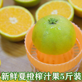 新鲜水果夏橙橙子秭归脐橙五月红孕妇时令水果60-65榨汁果5斤包邮
