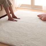 进口欧式 特价包邮创意丝毛地 毯卧室茶几地毯客厅床前地垫可定制
