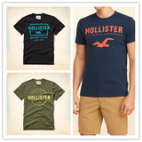 正品代购现货Hollister  HCO AF副牌海鸥贴花标识图案T恤 男16款