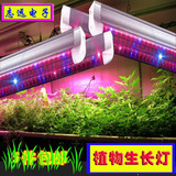 LED植物生长灯18W植物灯管大棚温室育苗红蓝光合作用补光灯