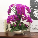大盆紫色蝴蝶兰套装 仿真花艺套装客厅摆设装饰花卉假花盆栽绢花