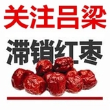 8斤24元特价小枣临县黄河滩枣绿色纯天然有机养生枣零食干果