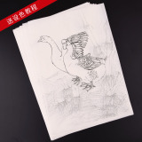 G3工笔画白描底稿临摹练习初学者入门国画水彩野鸭天鹅勾线熟宣纸