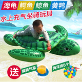 水上儿童充气坐骑 海龟动物坐骑  成人儿童游泳充气坐骑玩具浮排