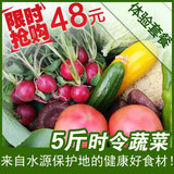 密云蔬菜农家肥限时体验套餐有机肥无农药新鲜蔬菜5斤包邮京津冀