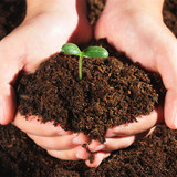 掺入各种营养介质 栽花土 高效透气营养土 花卉肥料土