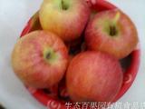 新鲜有机苹果正宗红香蕉苹果稀缺老品种绝品婴儿辅食老人最爱口味