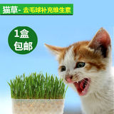 包邮水晶猫草宠物猫咪零食猫咪去毛球调理肠胃猫零食天然猫草种子