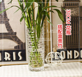 现代简约藤编玻璃花瓶百合富贵花器花瓶水晶花瓶加厚透明餐桌时尚