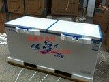 容声 卧式 冰柜冷柜 冷藏冷冻 商用大冰柜BD/BC-755Q 促销中