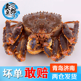 进口俄罗斯鲜冻帝王蟹皇帝蟹海蟹大螃蟹每只3-7斤3份起拍顺丰包邮